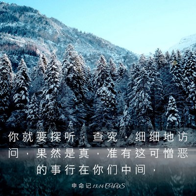 Picture 03 - 申 命 记 13:14 CUVS - 你 就 要 探 听 ， 查 究 ， 细 细 地 - Bible Verse Picture