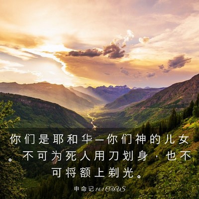 Picture 03 - 申 命 记 14:1 CUVS - 你 们 是 耶 和 华 ─ 你 们 神 的 儿 - Bible Verse Picture