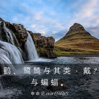 Picture 03 - 申 命 记 14:18 CUVS - 鹳 、 鹭 鸶 与 其 类 ， 戴 ? 与 蝙 蝠 - Bible Verse Picture