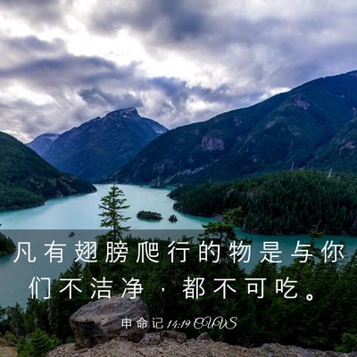 Picture 03 - 申 命 记 14:19 CUVS - 凡 有 翅 膀 爬 行 的 物 是 与 你 们 - Bible Verse Picture