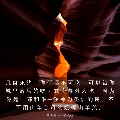 Picture 03 - 申 命 记 14:21 CUVS - 凡 自 死 的 ， 你 们 都 不 可 吃 ， - Bible Verse Picture