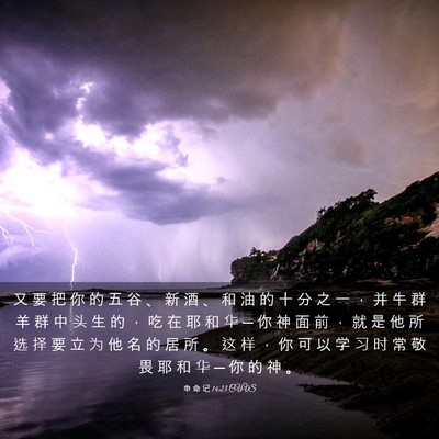 Picture 03 - 申 命 记 14:23 CUVS - 又 要 把 你 的 五 谷 、 新 酒 、 和 - Bible Verse Picture