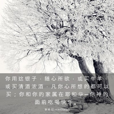 Picture 03 - 申 命 记 14:26 CUVS - 你 用 这 银 子 ， 随 心 所 欲 ， 或 - Bible Verse Picture