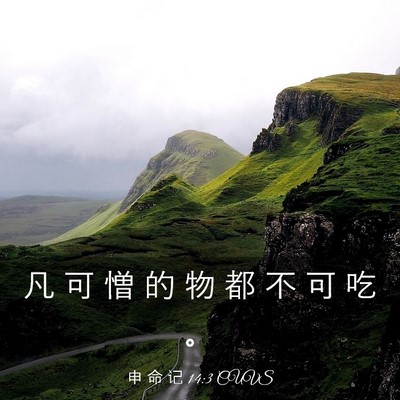 Picture 03 - 申 命 记 14:3 CUVS - 凡 可 憎 的 物 都 不 可 吃 - Bible Verse Picture
