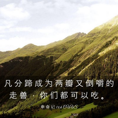 Picture 03 - 申 命 记 14:6 CUVS - 凡 分 蹄 成 为 两 瓣 又 倒 嚼 的 走 - Bible Verse Picture