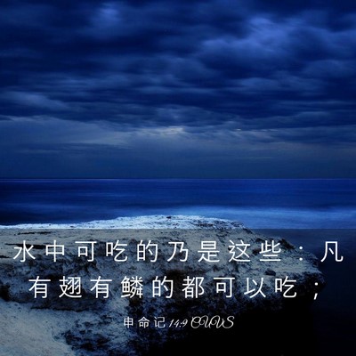 Picture 03 - 申 命 记 14:9 CUVS - 水 中 可 吃 的 乃 是 这 些 ： 凡 有 - Bible Verse Picture
