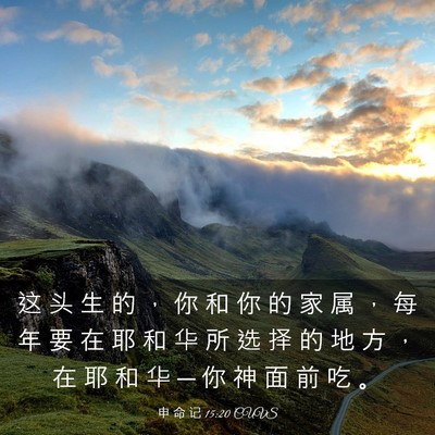 Picture 03 - 申 命 记 15:20 CUVS - 这 头 生 的 ， 你 和 你 的 家 属 ， - Bible Verse Picture