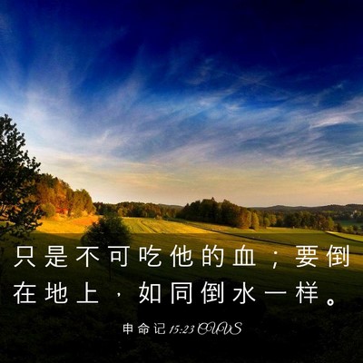Picture 03 - 申 命 记 15:23 CUVS - 只 是 不 可 吃 他 的 血 ； 要 倒 在 - Bible Verse Picture
