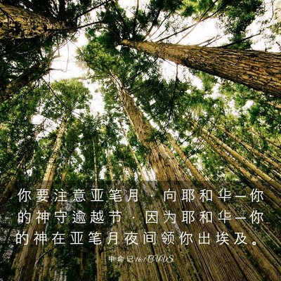Picture 03 - 申 命 记 16:1 CUVS - 你 要 注 意 亚 笔 月 ， 向 耶 和 华 - Bible Verse Picture