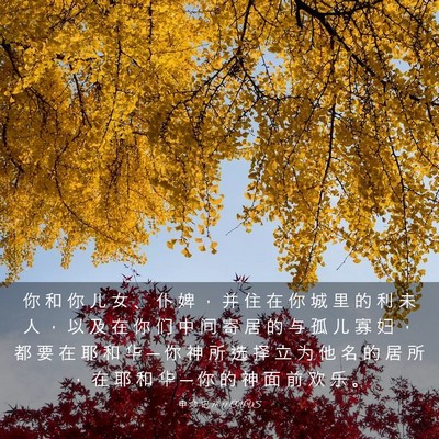Picture 03 - 申 命 记 16:11 CUVS - 你 和 你 儿 女 、 仆 婢 ， 并 住 在 - Bible Verse Picture