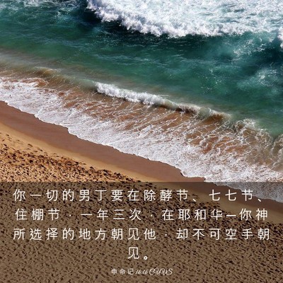 Picture 03 - 申 命 记 16:16 CUVS - 你 一 切 的 男 丁 要 在 除 酵 节 、 - Bible Verse Picture