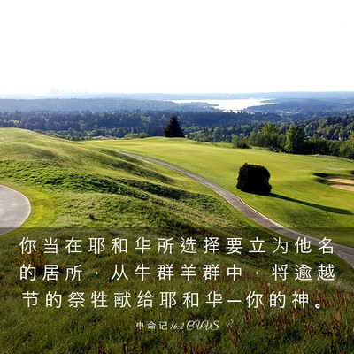 Picture 03 - 申 命 记 16:2 CUVS - 你 当 在 耶 和 华 所 选 择 要 立 为 - Bible Verse Picture