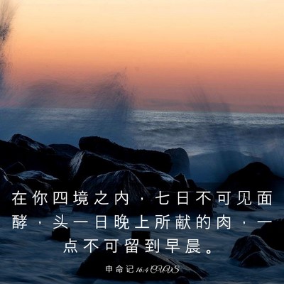 Picture 03 - 申 命 记 16:4 CUVS - 在 你 四 境 之 内 ， 七 日 不 可 见 - Bible Verse Picture