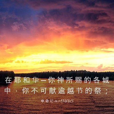 Picture 03 - 申 命 记 16:5 CUVS - 在 耶 和 华 ─ 你 神 所 赐 的 各 城 - Bible Verse Picture