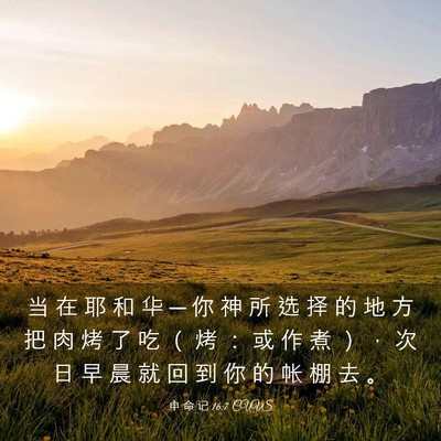 Picture 03 - 申 命 记 16:7 CUVS - 当 在 耶 和 华 ─ 你 神 所 选 择 的 - Bible Verse Picture