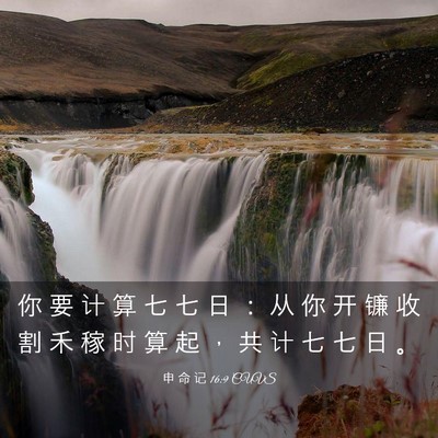 Picture 03 - 申 命 记 16:9 CUVS - 你 要 计 算 七 七 日 ： 从 你 开 镰 - Bible Verse Picture