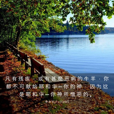 Picture 03 - 申 命 记 17:1 CUVS - 凡 有 残 疾 ， 或 有 甚 麽 恶 病 的 - Bible Verse Picture