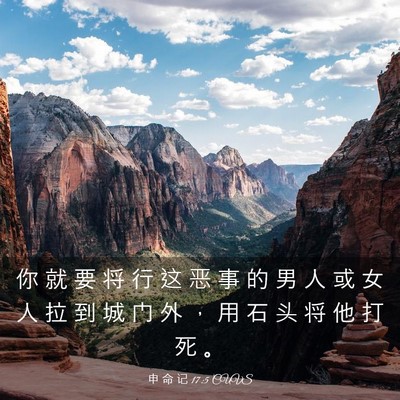 Picture 03 - 申 命 记 17:5 CUVS - 你 就 要 将 行 这 恶 事 的 男 人 或 - Bible Verse Picture