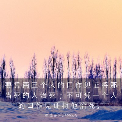Picture 03 - 申 命 记 17:6 CUVS - 要 凭 两 三 个 人 的 口 作 见 证 将 - Bible Verse Picture