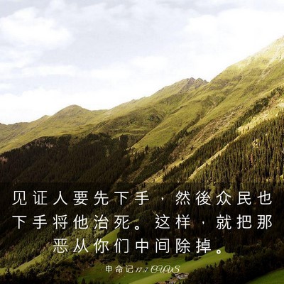 Picture 03 - 申 命 记 17:7 CUVS - 见 证 人 要 先 下 手 ， 然 後 众 民 - Bible Verse Picture