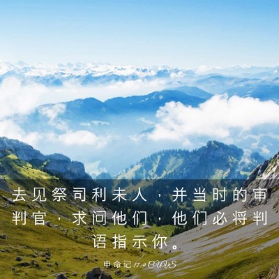 Picture 03 - 申 命 记 17:9 CUVS - 去 见 祭 司 利 未 人 ， 并 当 时 的 - Bible Verse Picture