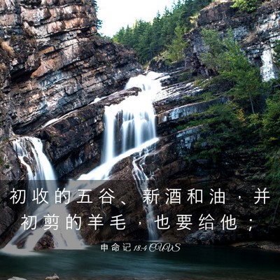 Picture 03 - 申 命 记 18:4 CUVS - 初 收 的 五 谷 、 新 酒 和 油 ， 并 - Bible Verse Picture