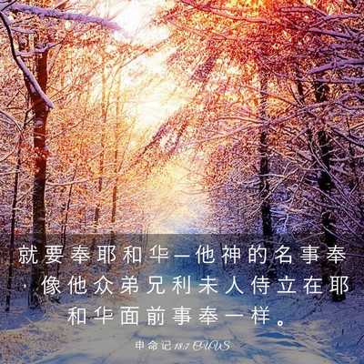 Picture 03 - 申 命 记 18:7 CUVS - 就 要 奉 耶 和 华 ─ 他 神 的 名 事 - Bible Verse Picture