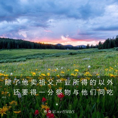 Picture 03 - 申 命 记 18:8 CUVS - 除 了 他 卖 祖 父 产 业 所 得 的 以 - Bible Verse Picture
