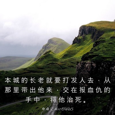 Picture 03 - 申 命 记 19:12 CUVS - 本 城 的 长 老 就 要 打 发 人 去 ， - Bible Verse Picture