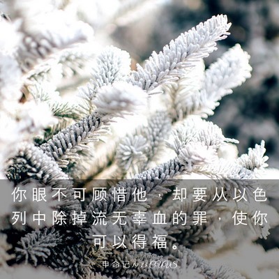 Picture 03 - 申 命 记 19:13 CUVS - 你 眼 不 可 顾 惜 他 ， 却 要 从 以 - Bible Verse Picture