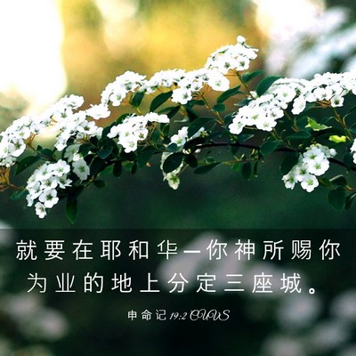 Picture 03 - 申 命 记 19:2 CUVS - 就 要 在 耶 和 华 ─ 你 神 所 赐 你 - Bible Verse Picture