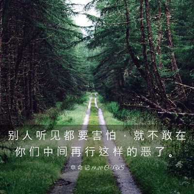 Picture 03 - 申 命 记 19:20 CUVS - 别 人 听 见 都 要 害 怕 ， 就 不 敢 - Bible Verse Picture