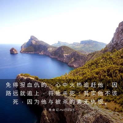 Picture 03 - 申 命 记 19:6 CUVS - 免 得 报 血 仇 的 ， 心 中 火 热 追 - Bible Verse Picture