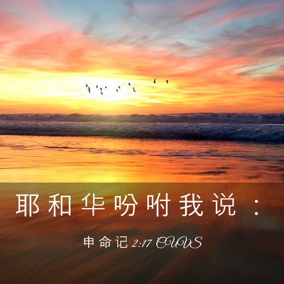 Picture 03 - 申 命 记 2:17 CUVS - 耶 和 华 吩 咐 我 说 - Bible Verse Picture