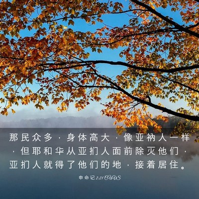 Picture 03 - 申 命 记 2:21 CUVS - 那 民 众 多 ， 身 体 高 大 ， 像 亚 - Bible Verse Picture