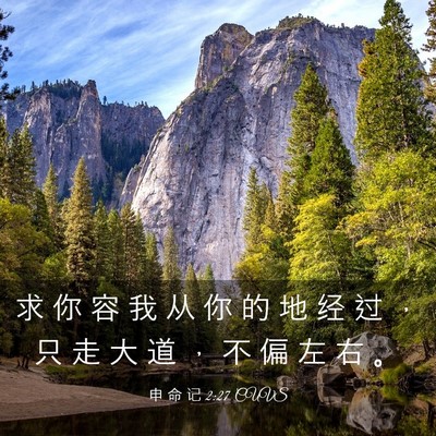 Picture 03 - 申 命 记 2:27 CUVS - 求 你 容 我 从 你 的 地 经 过 ， 只 - Bible Verse Picture