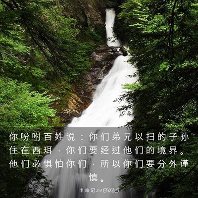 Picture 03 - 申 命 记 2:4 CUVS - 你 吩 咐 百 姓 说 ： 你 们 弟 兄 以 - Bible Verse Picture