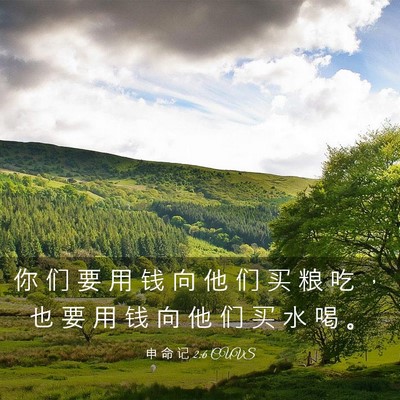 Picture 03 - 申 命 记 2:6 CUVS - 你 们 要 用 钱 向 他 们 买 粮 吃 ， - Bible Verse Picture