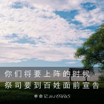 Picture 03 - 申 命 记 20:2 CUVS - 你 们 将 要 上 阵 的 时 候 ， 祭 司 - Bible Verse Picture