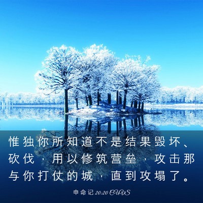 Picture 03 - 申 命 记 20:20 CUVS - 惟 独 你 所 知 道 不 是 结 果 毁 坏 - Bible Verse Picture