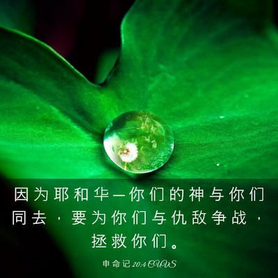 Picture 03 - 申 命 记 20:4 CUVS - 因 为 耶 和 华 ─ 你 们 的 神 与 你 - Bible Verse Picture