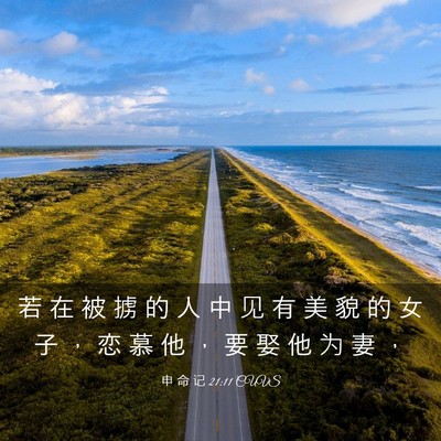 Picture 03 - 申 命 记 21:11 CUVS - 若 在 被 掳 的 人 中 见 有 美 貌 的 - Bible Verse Picture