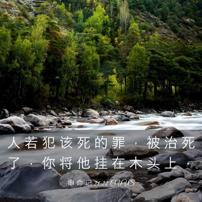Picture 03 - 申 命 记 21:22 CUVS - 人 若 犯 该 死 的 罪 ， 被 治 死 了 - Bible Verse Picture