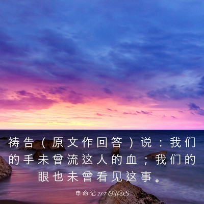 Picture 03 - 申 命 记 21:7 CUVS - 祷 告 （ 原 文 作 回 答 ） 说 ： 我 - Bible Verse Picture