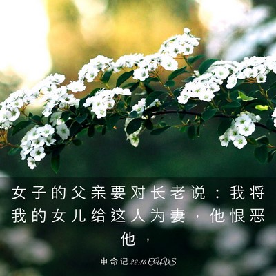 Picture 03 - 申 命 记 22:16 CUVS - 女 子 的 父 亲 要 对 长 老 说 ： 我 - Bible Verse Picture