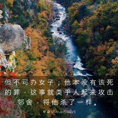 Picture 03 - 申 命 记 22:26 CUVS - 但 不 可 办 女 子 ； 他 本 没 有 该 - Bible Verse Picture