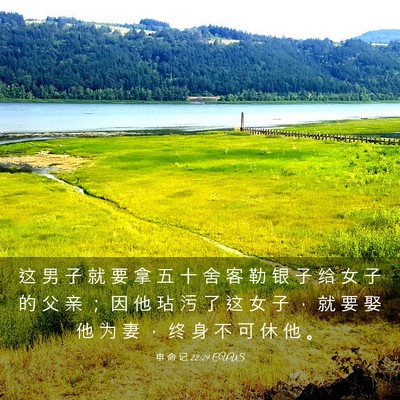 Picture 03 - 申 命 记 22:29 CUVS - 这 男 子 就 要 拿 五 十 舍 客 勒 银 - Bible Verse Picture