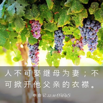 Picture 03 - 申 命 记 22:30 CUVS - 人 不 可 娶 继 母 为 妻 ； 不 可 掀 - Bible Verse Picture