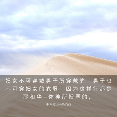 Picture 03 - 申 命 记 22:5 CUVS - 妇 女 不 可 穿 戴 男 子 所 穿 戴 的 - Bible Verse Picture