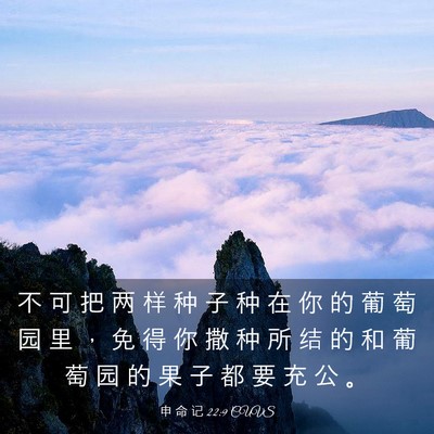 Picture 03 - 申 命 记 22:9 CUVS - 不 可 把 两 样 种 子 种 在 你 的 葡 - Bible Verse Picture
